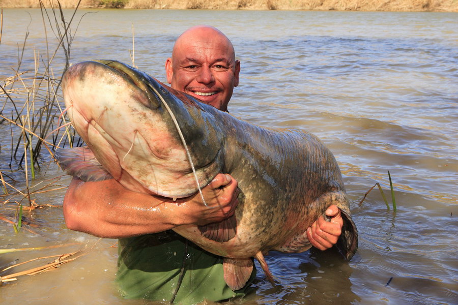 Spain Catfish 2007