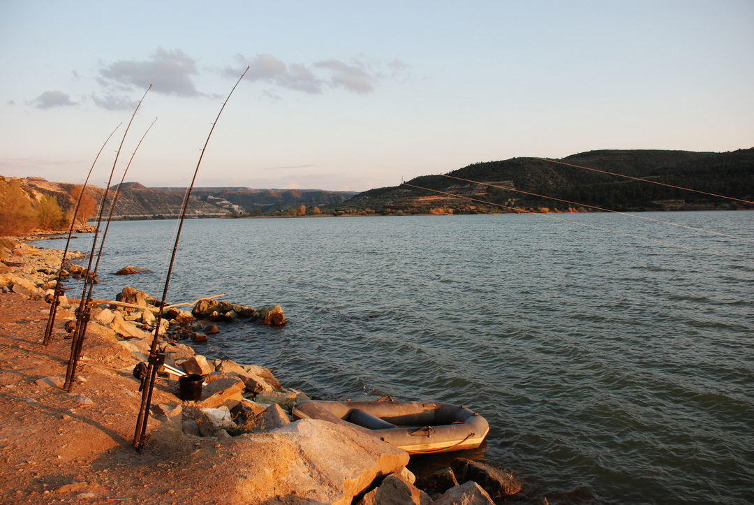 Spain Catfish